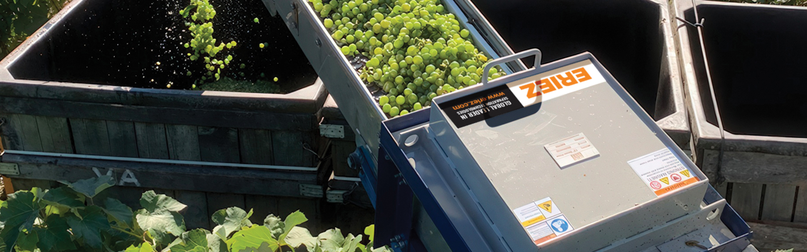 Plate Magnet hero banner